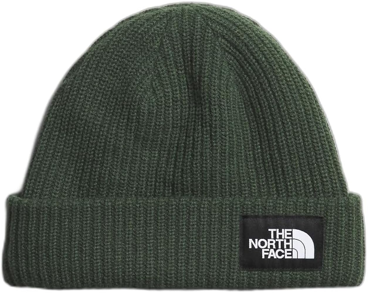 THE NORTH FACE Salty Dog Lined Beanie, Pine Needle, One Size Regular