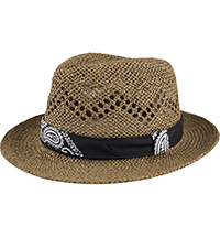 Levis Packable Fedora