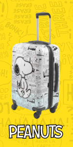 luggage