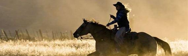 cowboy hat