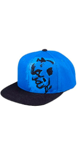 DC Comics Batman blue and black flat brim baseball hat by Concept One