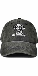 Labrador Retriever Hat