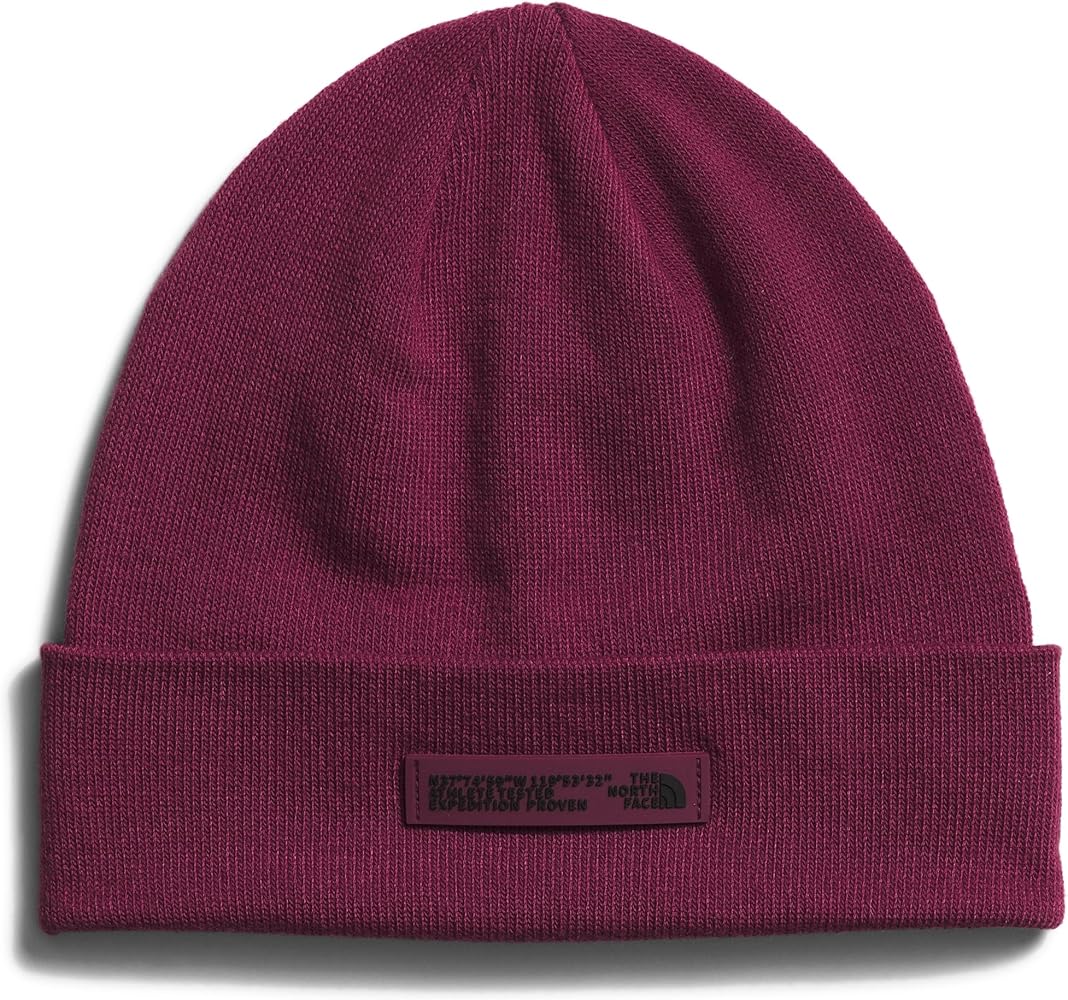 THE NORTH FACE Dock Worker Recycled Beanie, One Size, Boysenberry/Coordinates Graphic