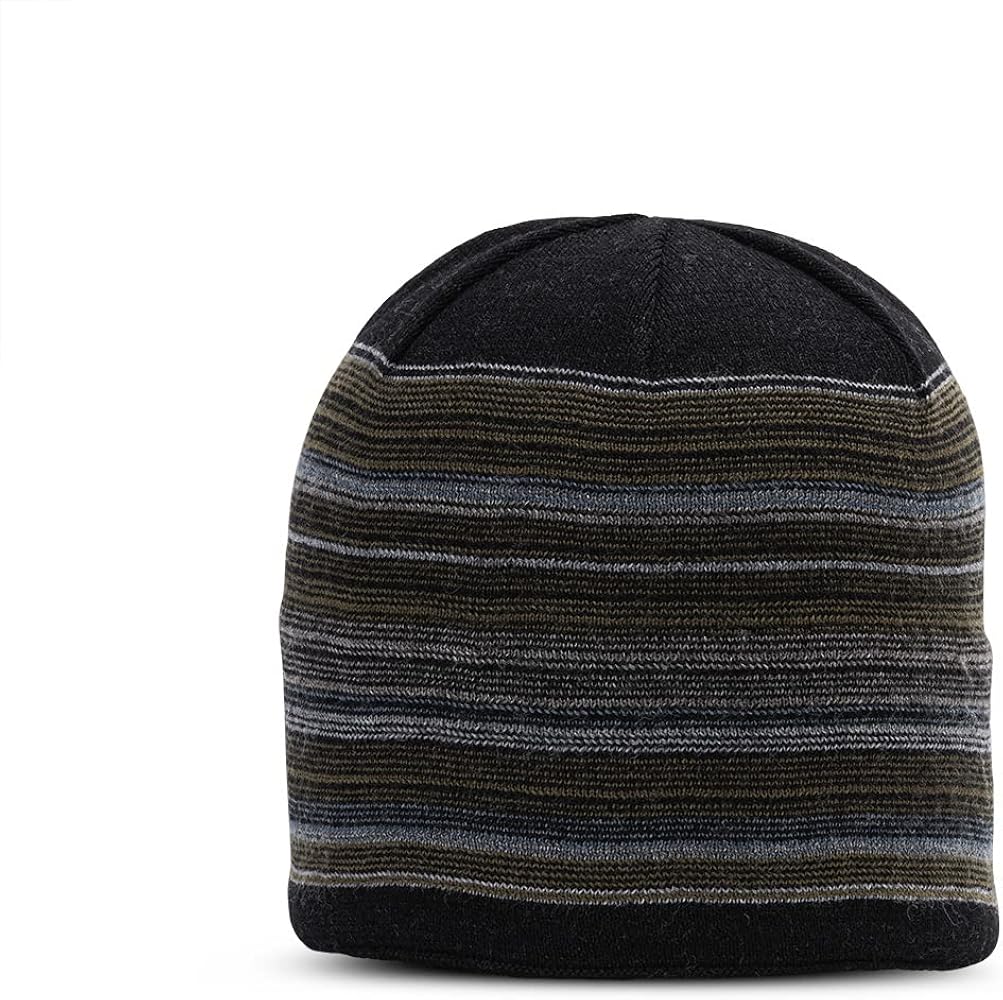 pistil Men's Wool Winter Beanie