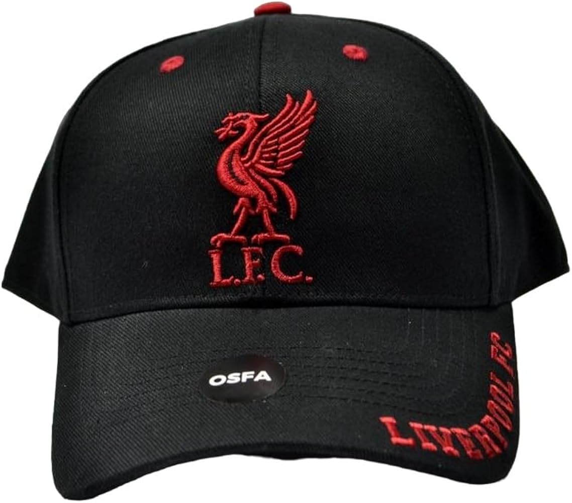 Liverpool FC Unisex Adult Mass Frost Snapback Cap