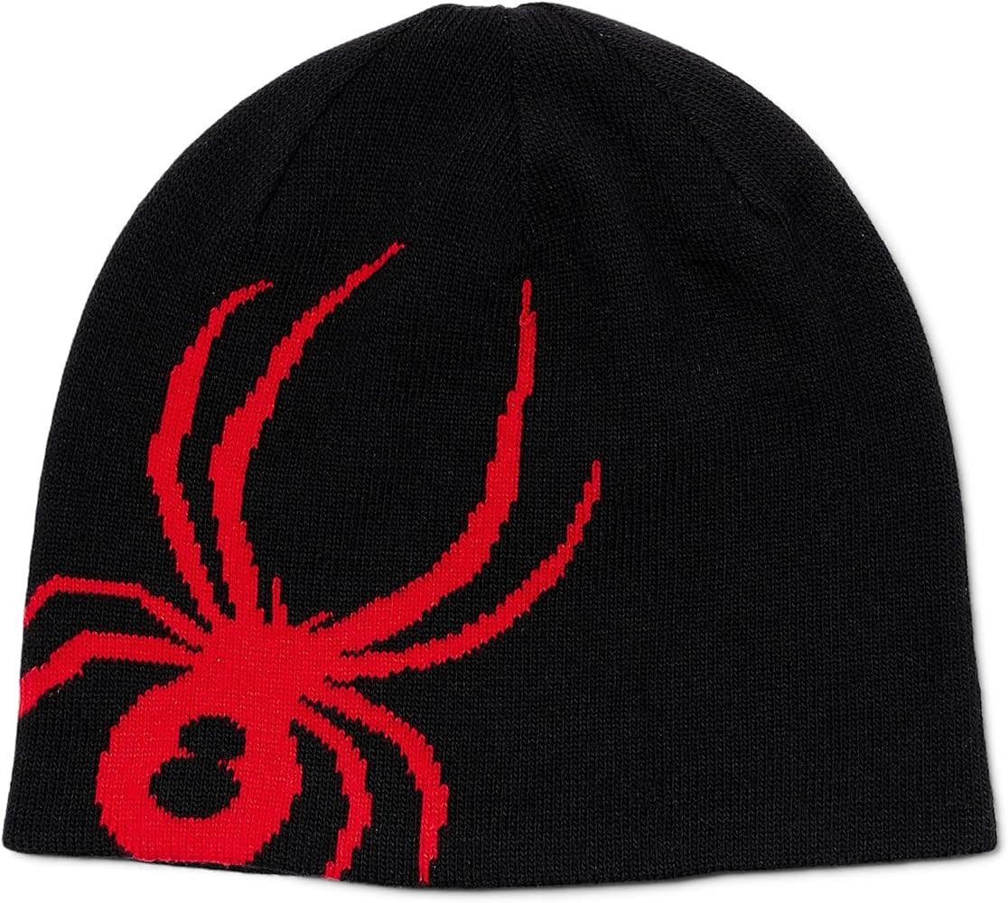 Spyder Men's Arachnid Beanie