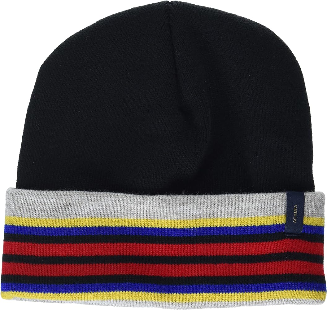 Pendleton Men's National Park Stripe Beanie